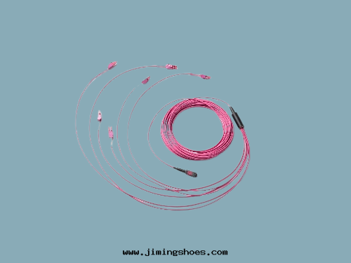 多(duō)通(tòng)道(dào)光(guāng)纖束(shù)线缆(lǎn)